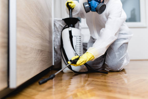 Best Emergency Pest Control  in Union Park, FL