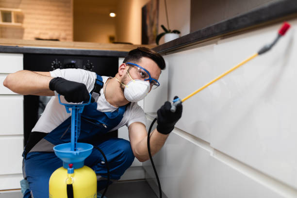 Best Pest Prevention Services  in Union Park, FL