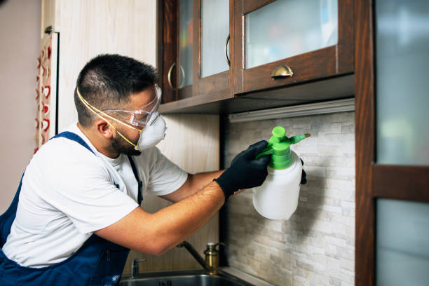 Best Rat Extermination Near Me  in Union Park, FL