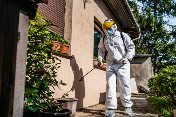Best Best Pest Control Companies  in Union Park, FL