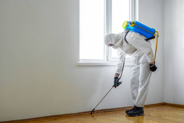 Professional Pest Control in Union Park, FL