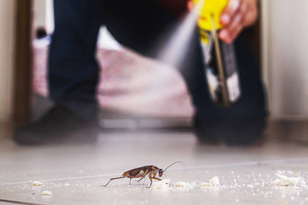 Trusted Union Park, FL Pest Control Experts