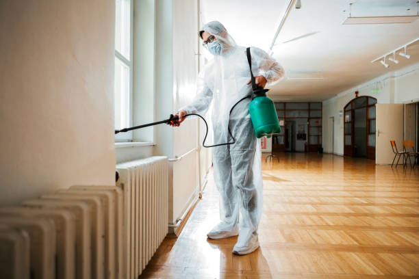 Best Ant Control Services  in Union Park, FL